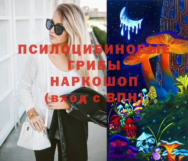 бошки Арсеньев