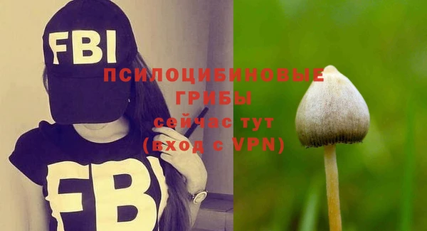 ECSTASY Армянск