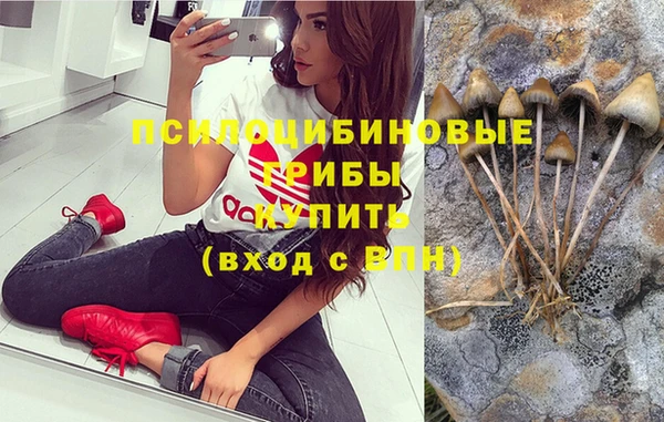 ECSTASY Армянск
