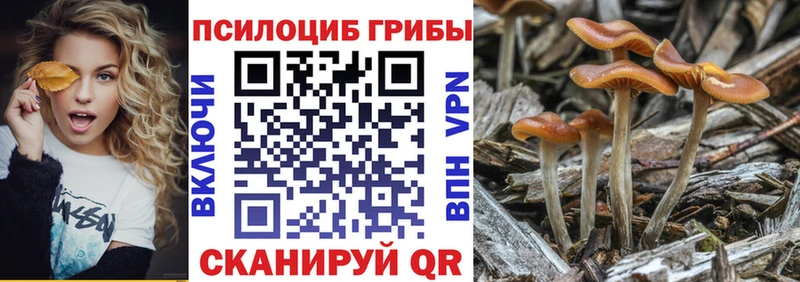 Псилоцибиновые грибы Psilocybine cubensis  купить закладку  Курган 